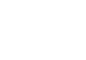 light bulb icon, white version